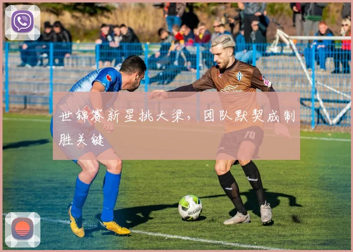 世锦赛新星挑大梁，团队默契成制胜关键