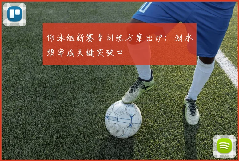 仰泳组新赛季训练方案出炉：划水频率成关键突破口