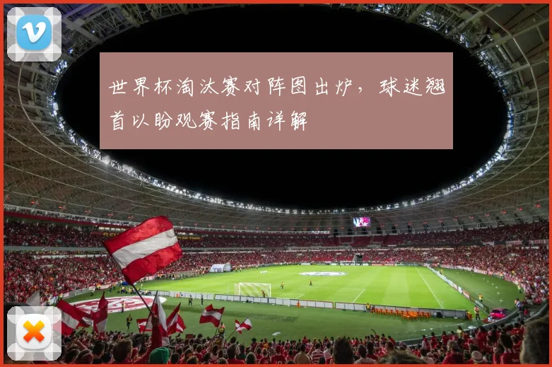 世界杯淘汰赛对阵图出炉，球迷翘首以盼观赛指南详解
