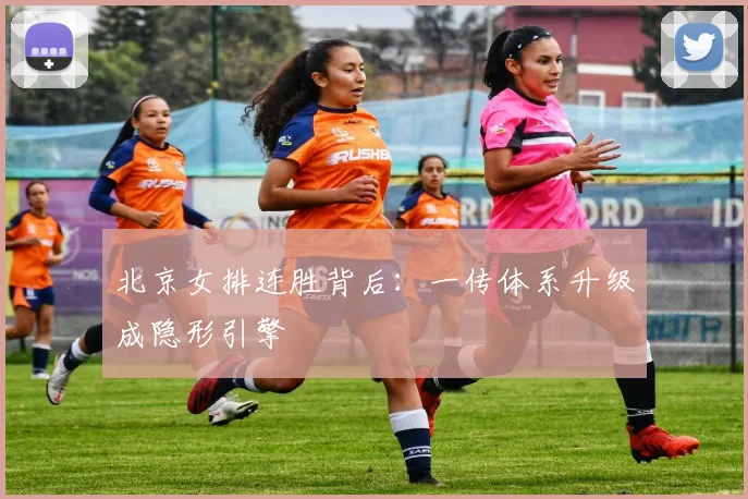 北京女排连胜背后：一传体系升级成隐形引擎